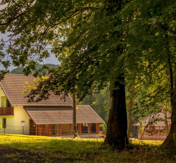 vile-montis-retreat-4